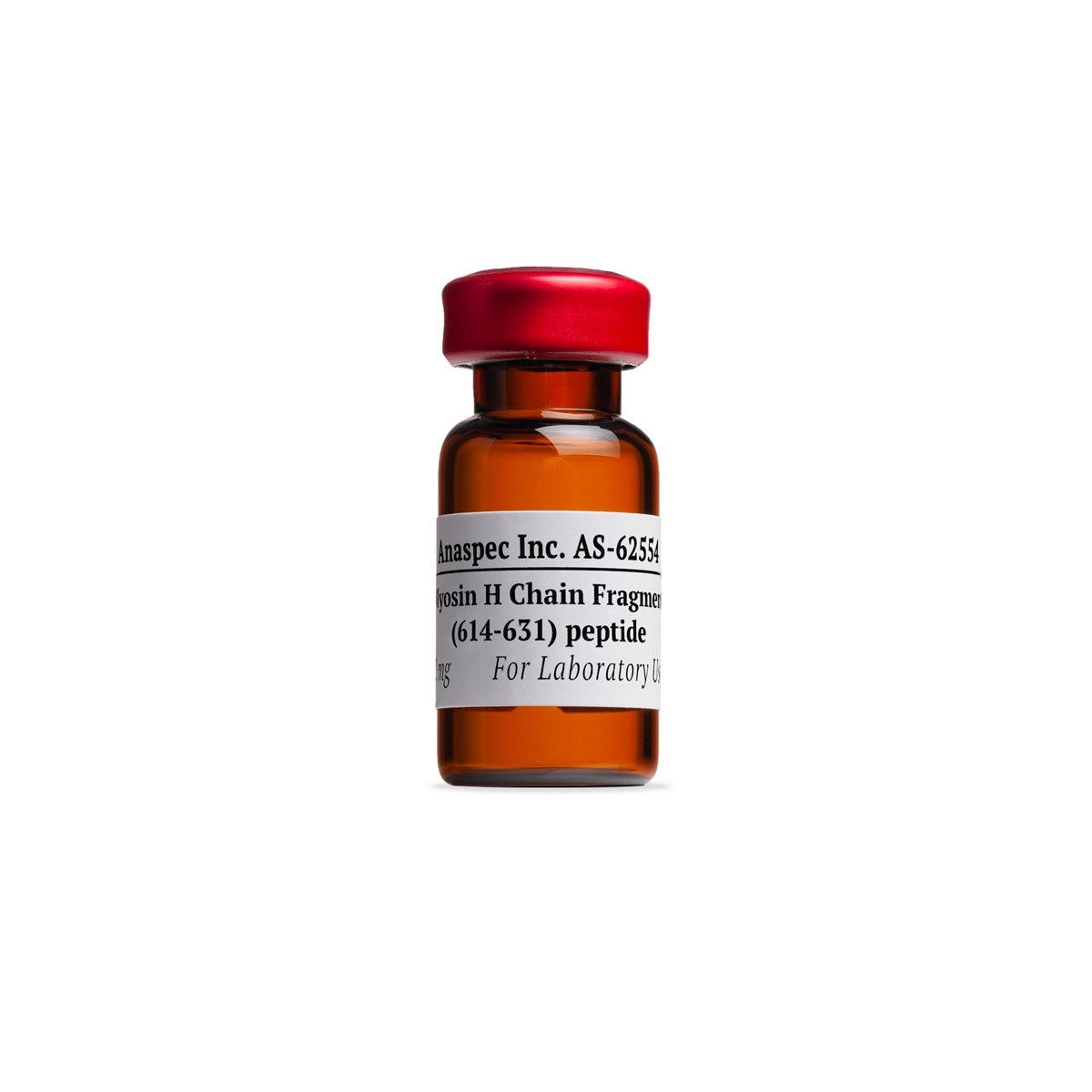 Myosin H Chain Fragment (614-631), mouse - 1 mg