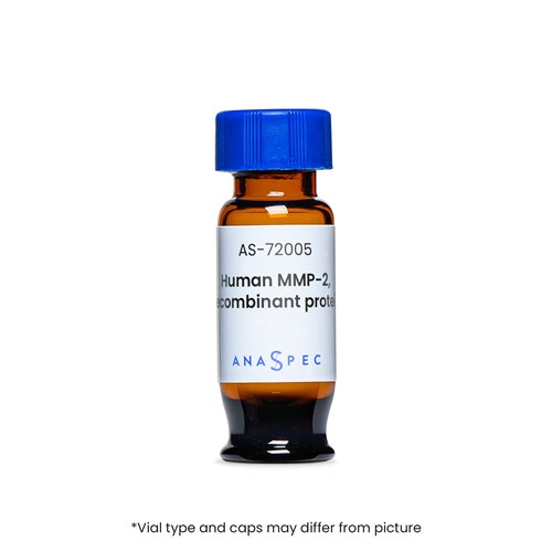SensoLyte® 520 MMP-2 Assay Kit Fluorimetric - 1 kit SensoLyte® 520 MMP-2 Assay Kit Fluorimetric - 1 kit