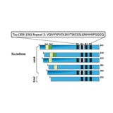 STRUCTURE-EN-AS-65435-01.jpg