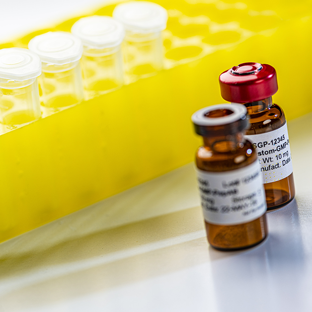 img-en-gmp-catalog-peptides-tuiles-02.jpg