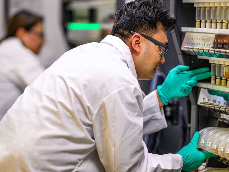 anaspec peptide synthesis